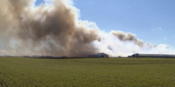 6,000 Hogs Killed in Fire at Ohio Farm