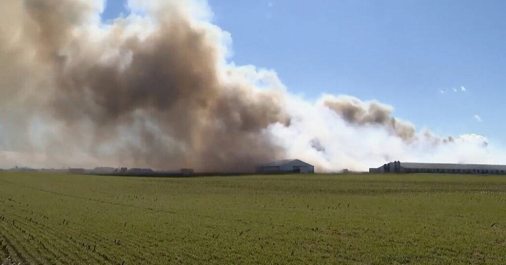 6,000 Hogs Killed in Fire at Ohio Farm