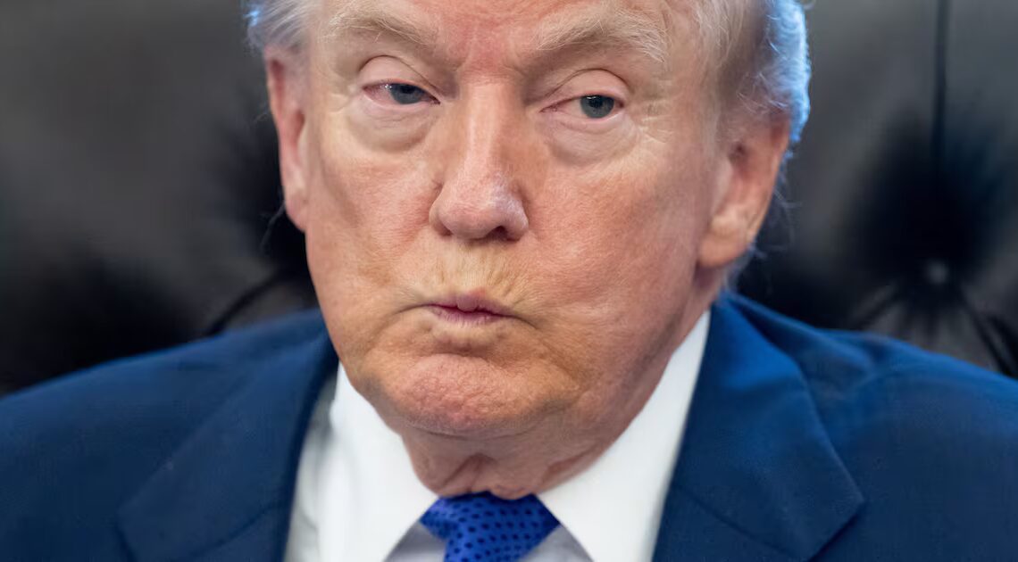 Trump Voter Gives President a ‘Failing Grade’ Over Endless MAGA Mayhem