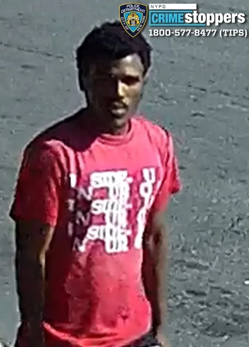 A 66-year-old man died after he was punched to the ground by two strangers who tried to rob him outside his Bronx home last year -- and the brutal attack has just been ruled a homicide, according to cops and his family. 