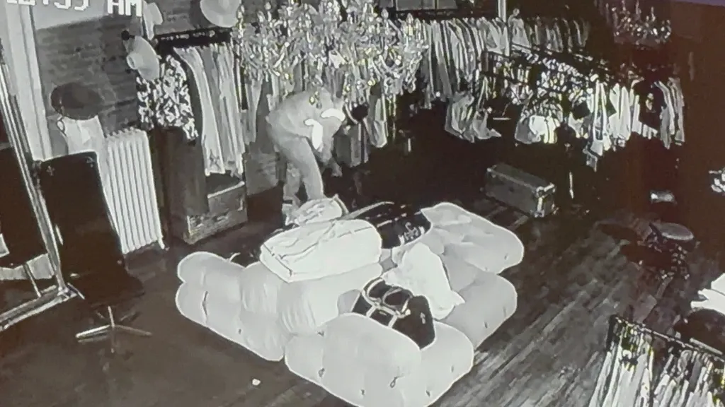 Surveillance video showing a suspect stealing merchandise from 4G at 151 Spring Street in SoHo, Manhattan.