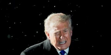 TACO Trump Plots Humiliating Retreat as His Approval Rating Plummets