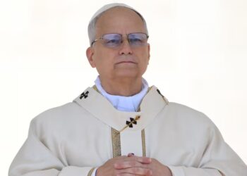 American Pope Slams Trump’s ‘Troubling’ Takeover Plot