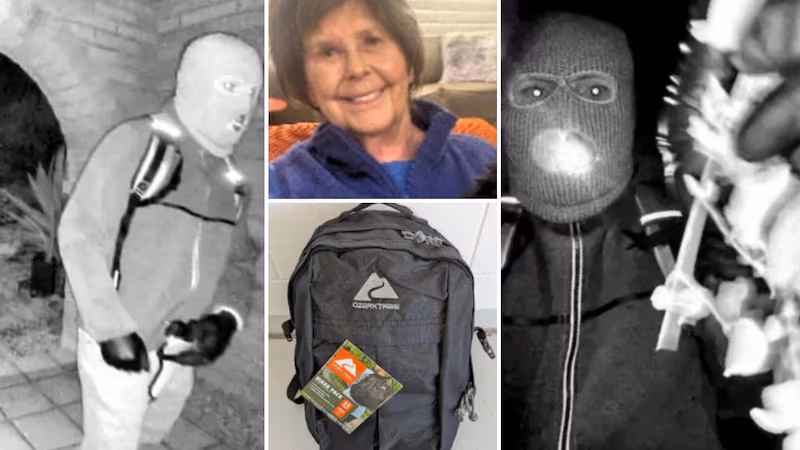 Images from FBI missing poster for Nancy Guthrie