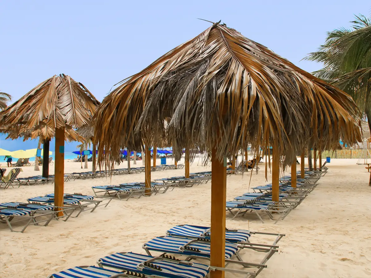 Several blue and white striped beach chairs with umbrellas made with palm tree leaves on a beach in Barbados.