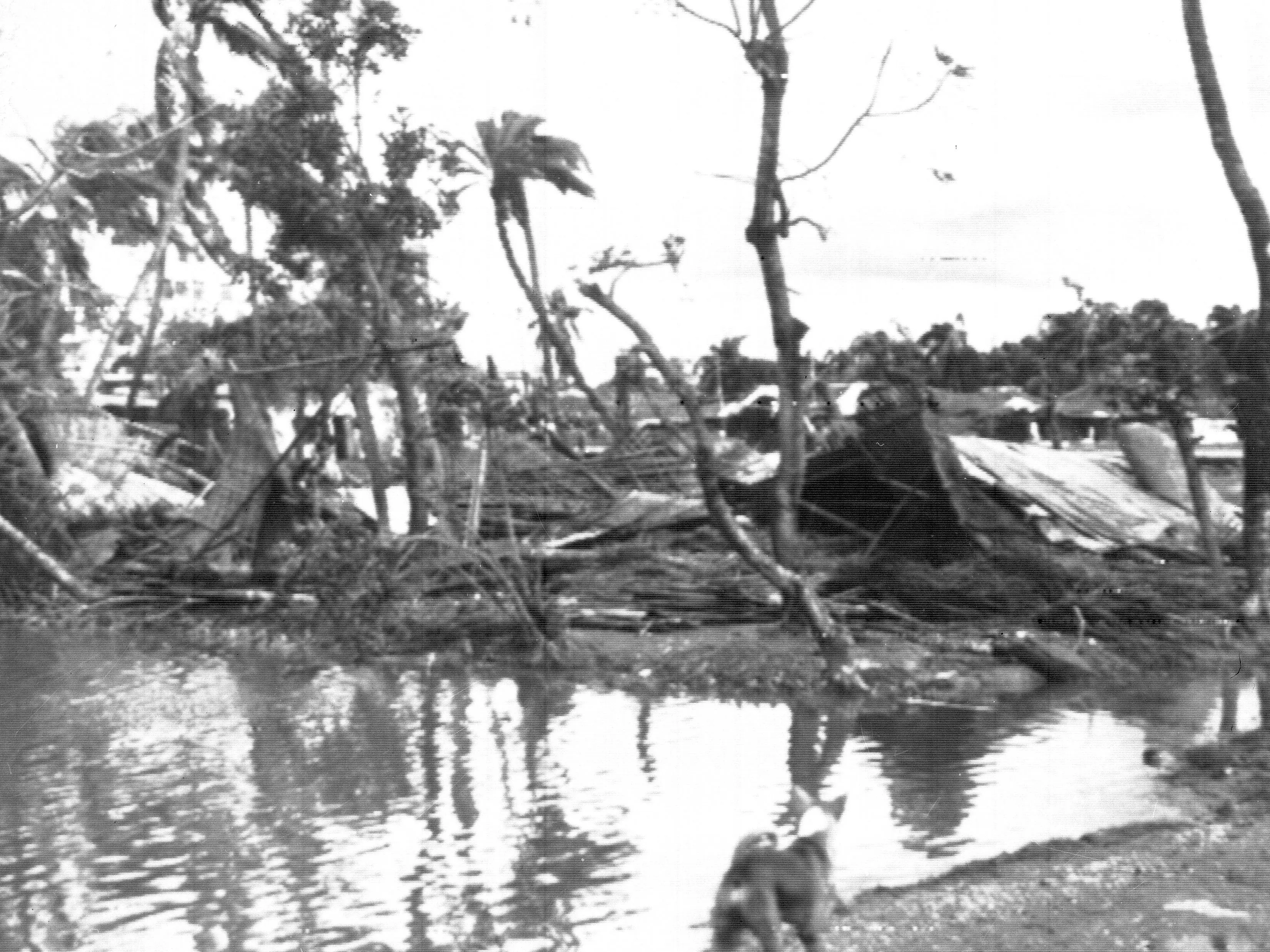 cyclone damage