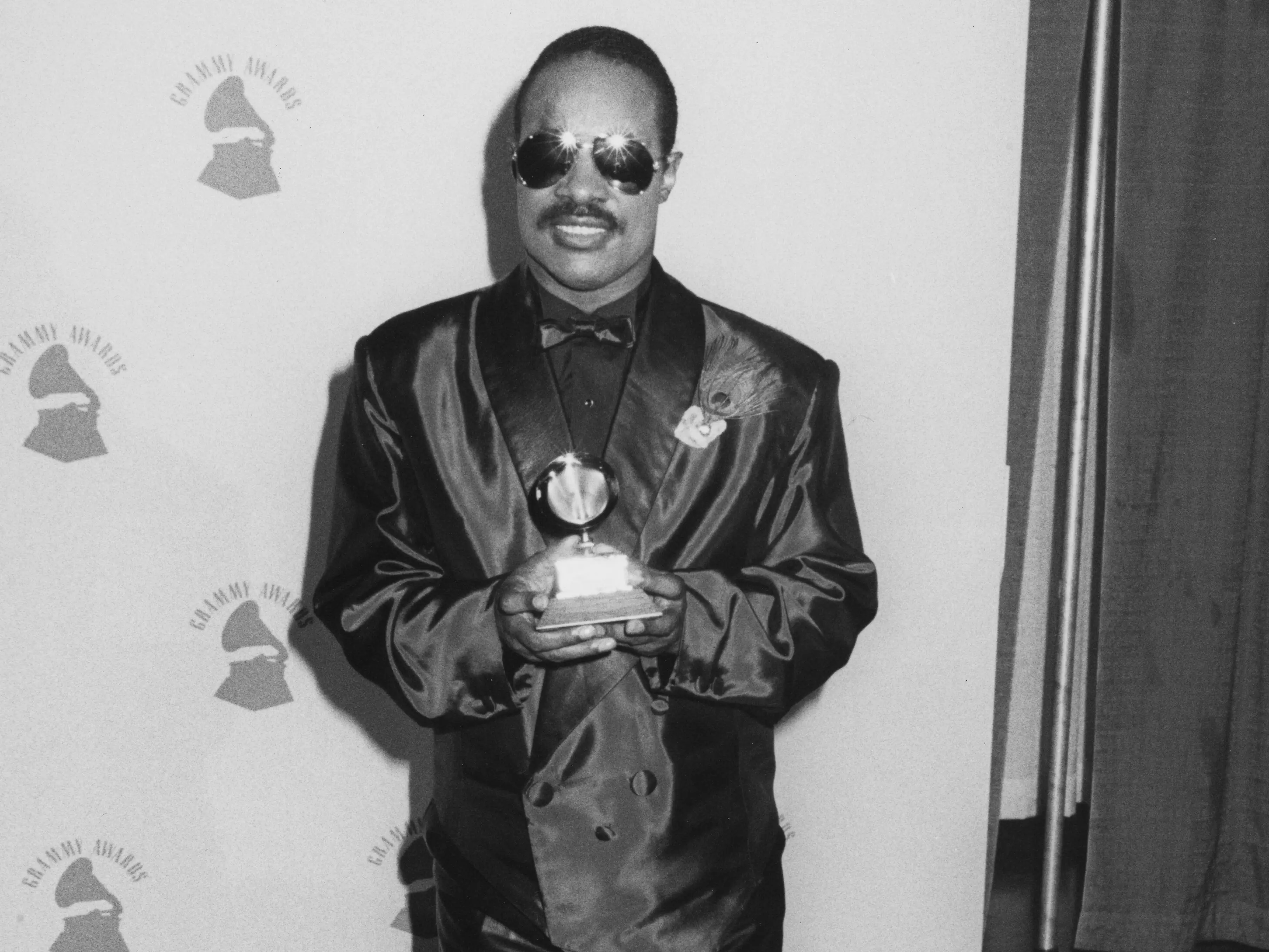 Stevie Wonder won best R&B vocal performance (male) at the 28th Grammys.