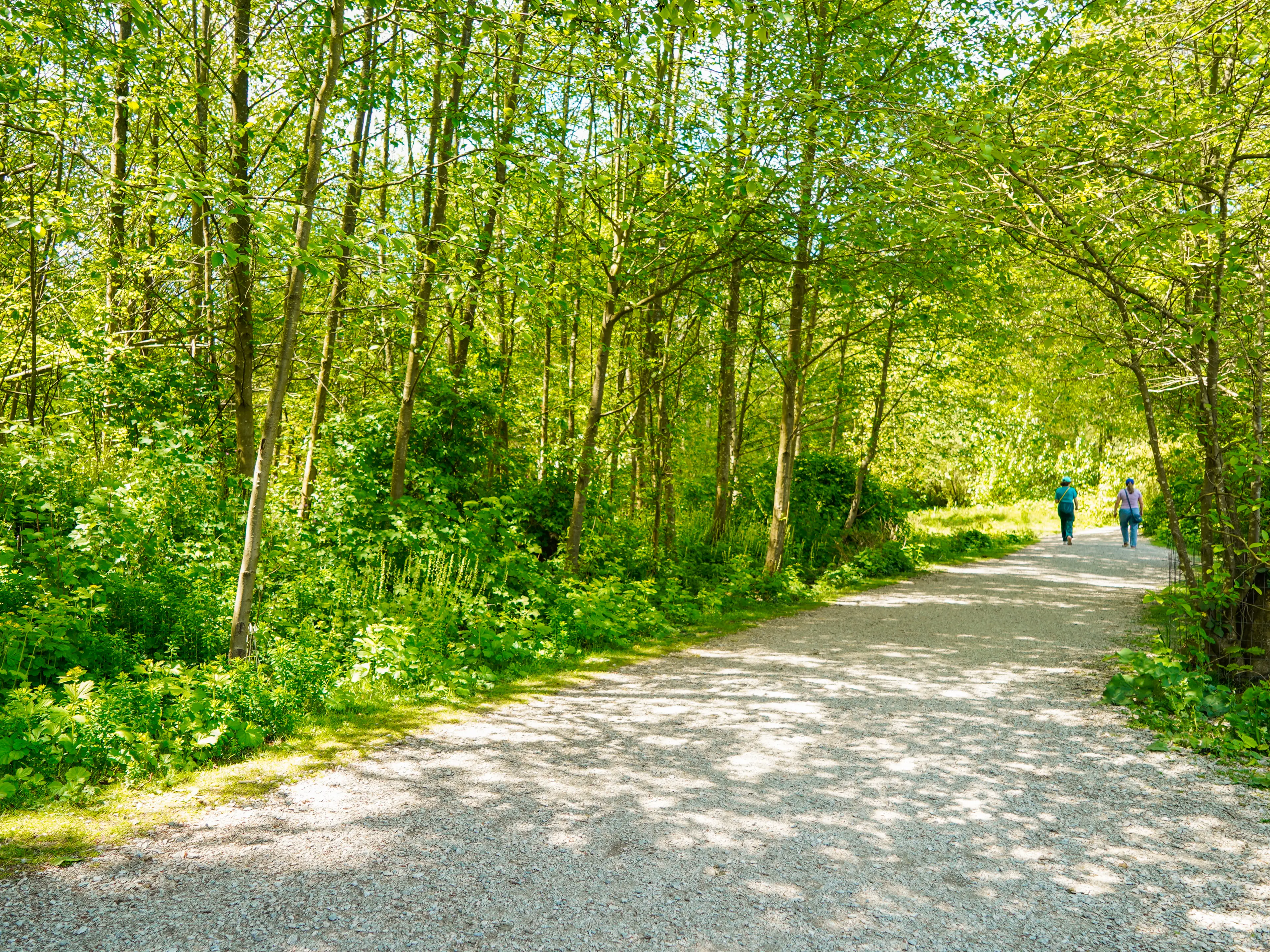 A path with forests on either side and two people walking in the distance