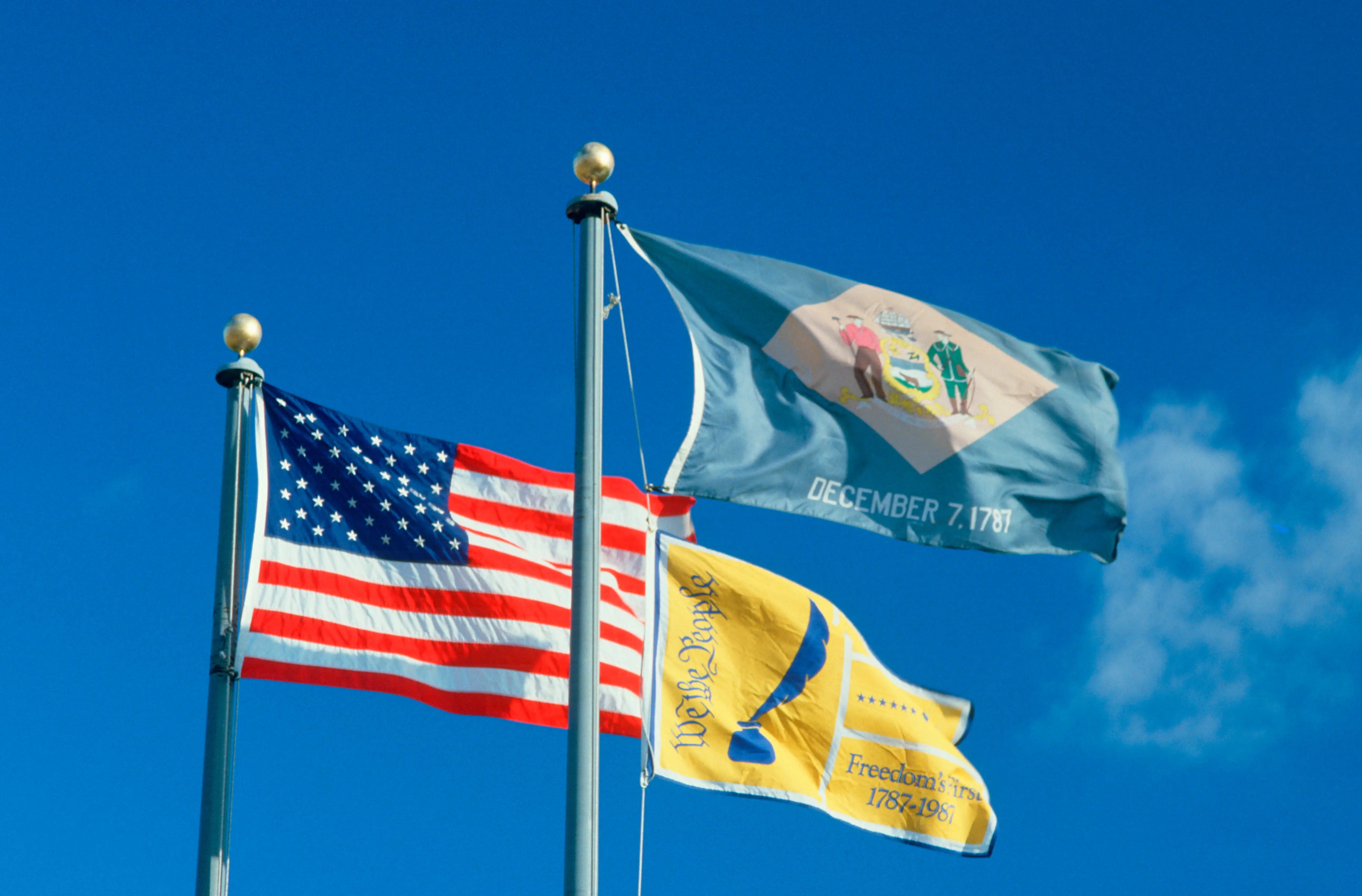 Delaware state flag.