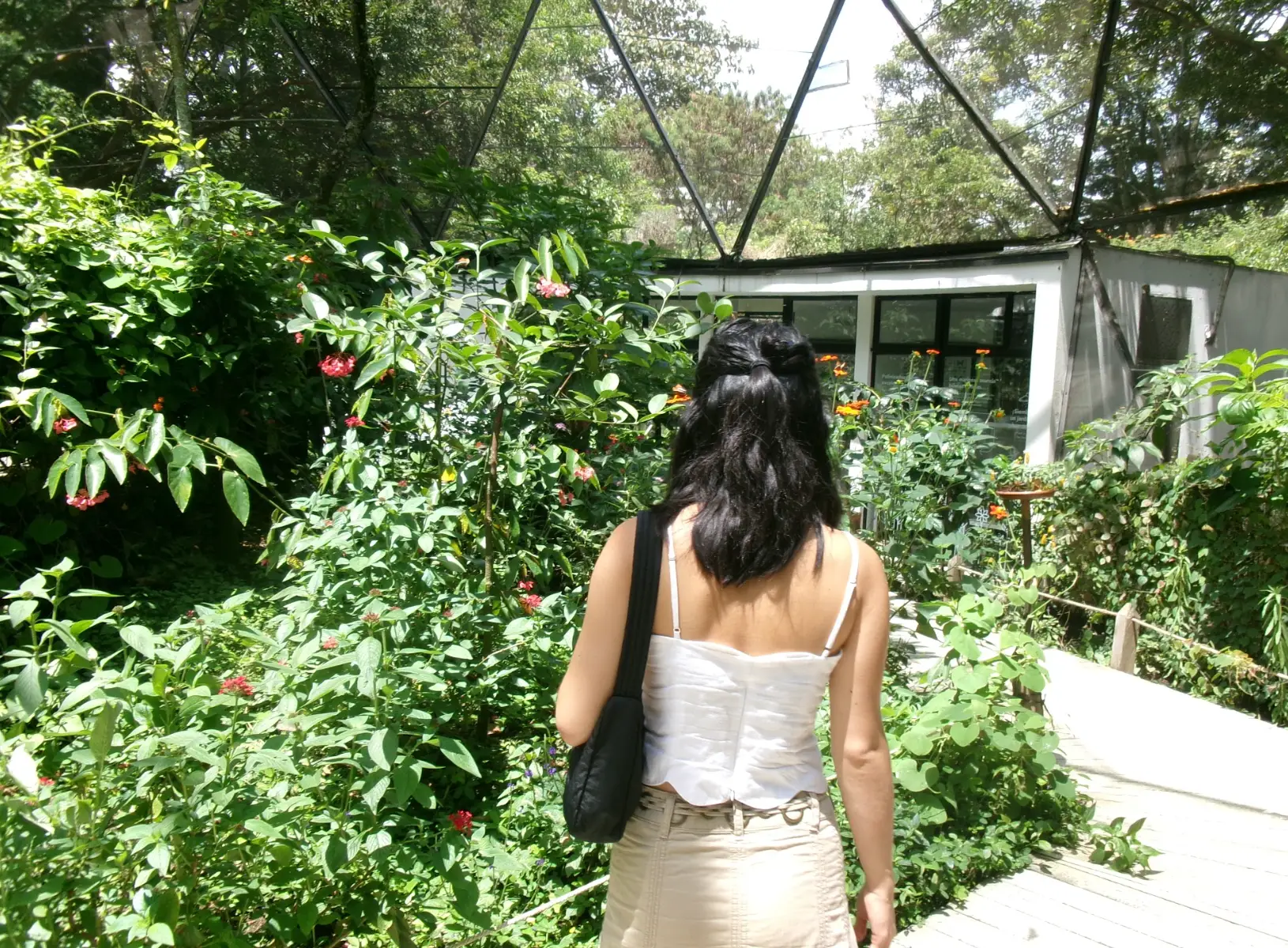 The writer walking through the Botanical Garden in Medellin, Colombia.