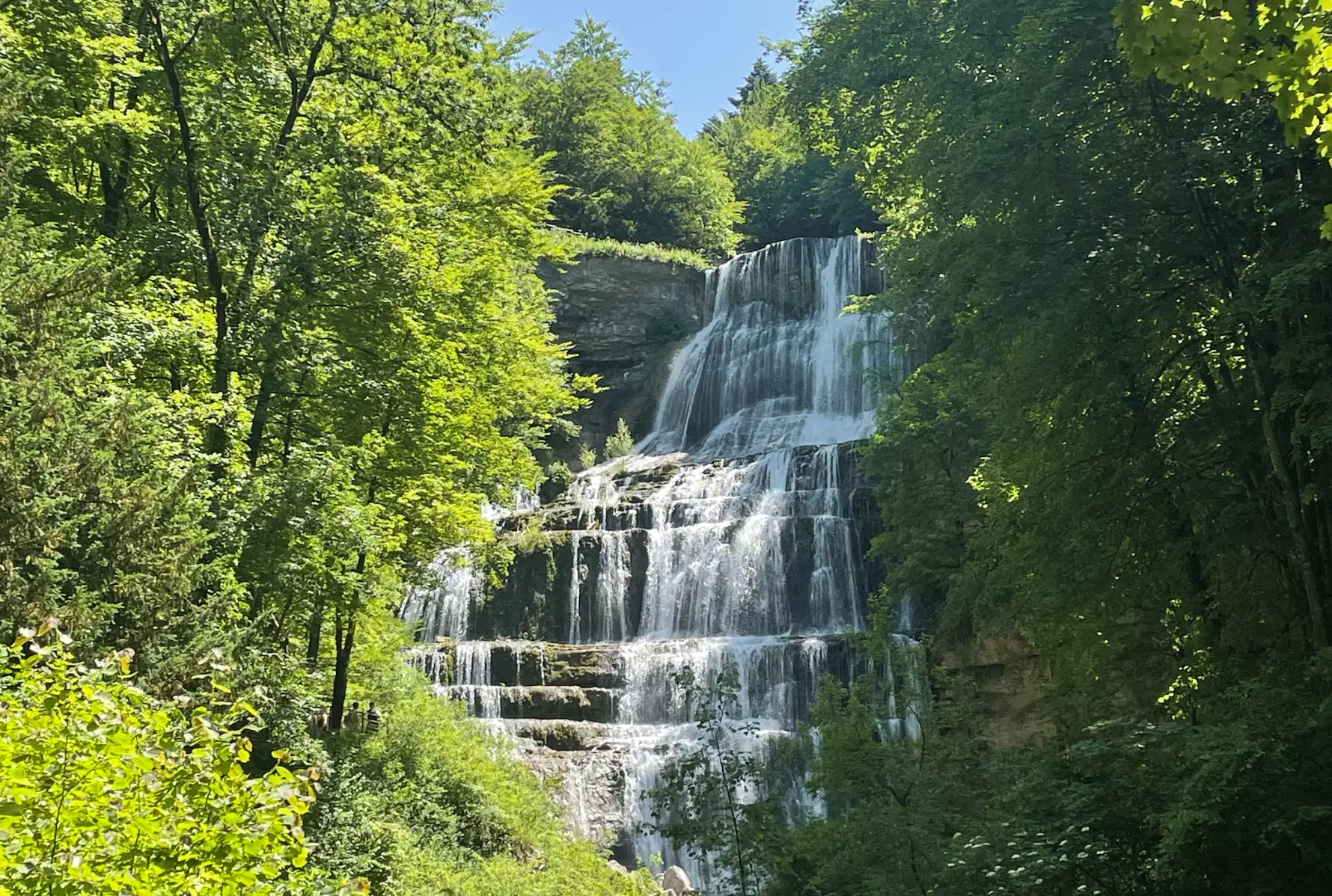 A waterfall and trees at the Cascades du Hérisson in France.