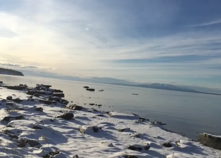 A snowy beach by the water in Alaska.