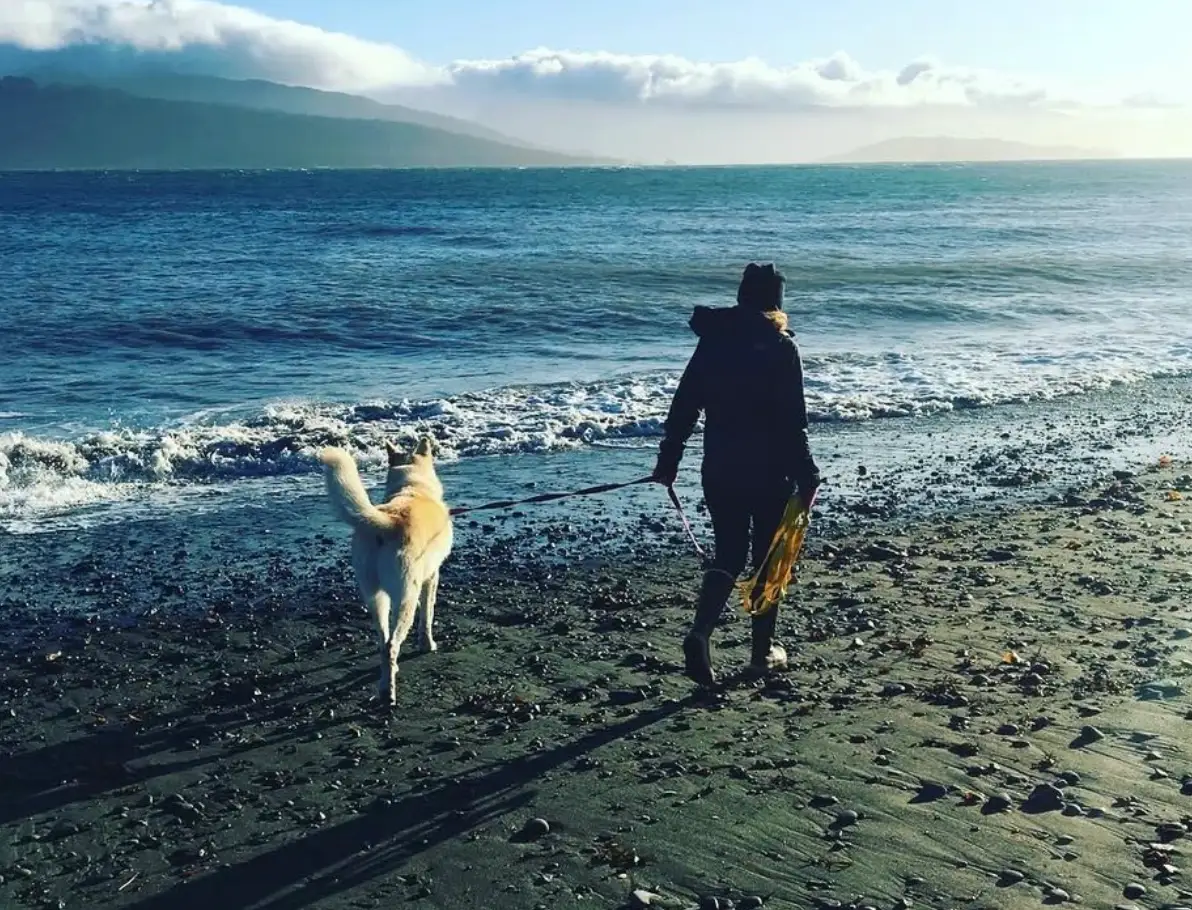 The writer walking her husky down an Alaskan beach.
