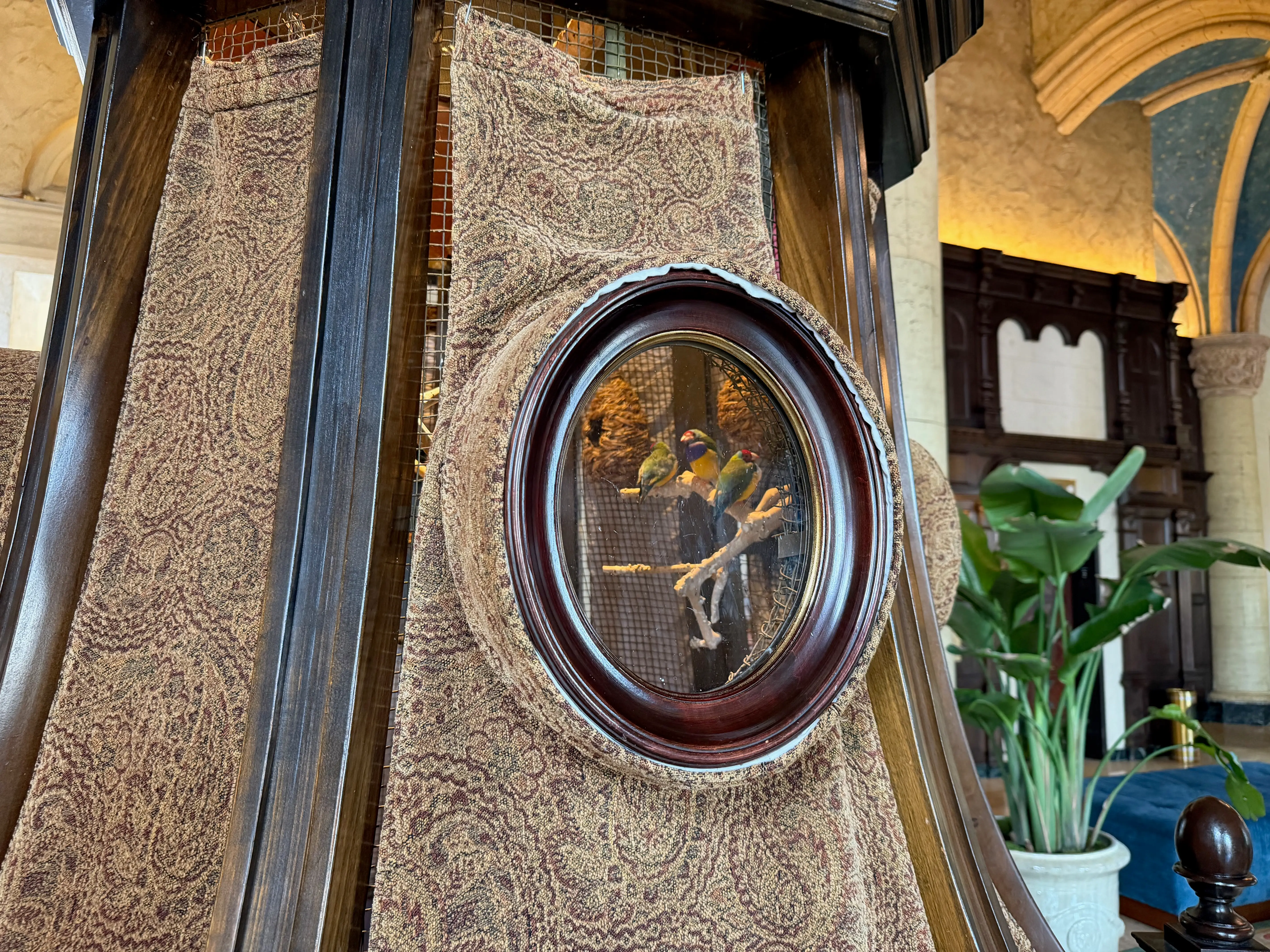 Finches inside birdcage in Miami Biltmore Hotel lobby
