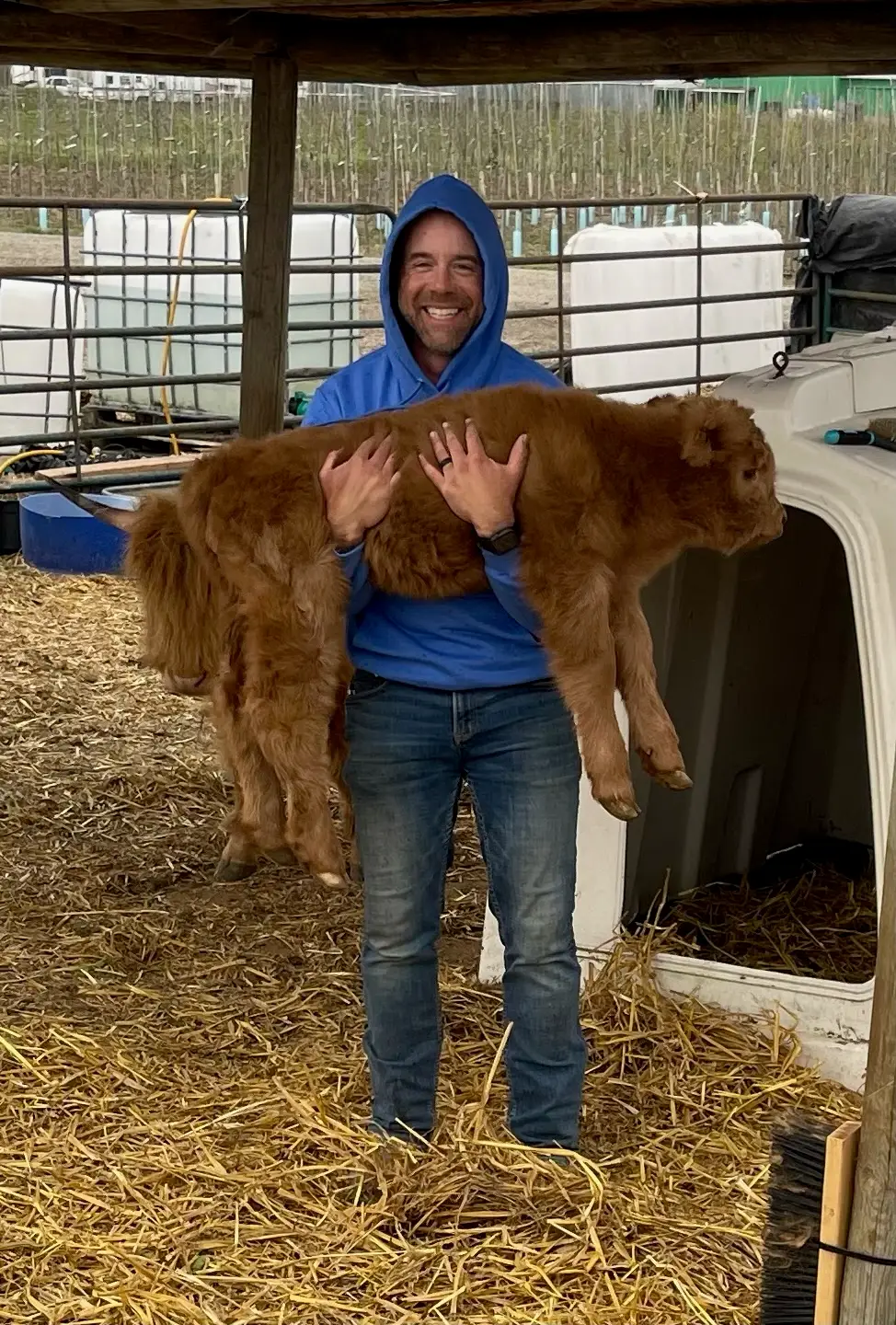 Andrew Miller is holding a sheep on Tulip Farms.