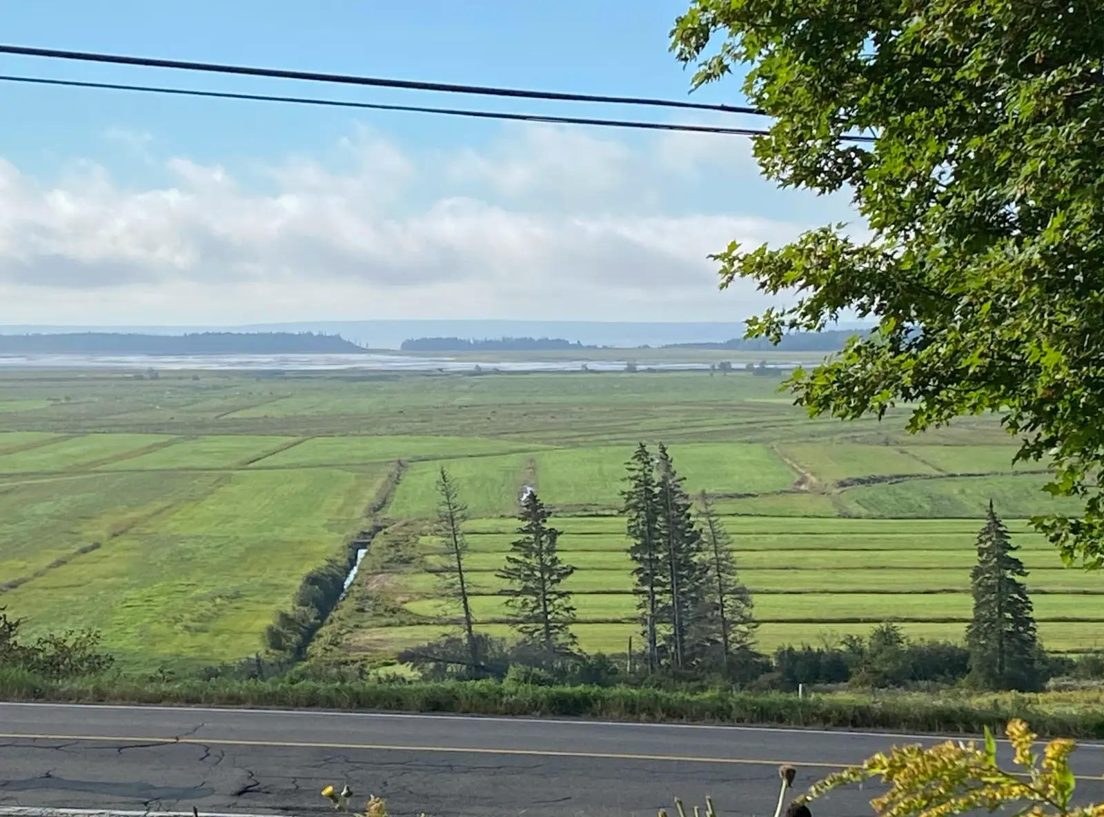 A street with a green field and body of water visible in Canada.