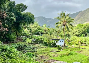 I grew up in Hawaii, but just now visited its ‘Friendly Isle.’ Here are 9 things that surprised me about my trip.