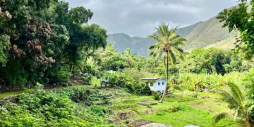 I grew up in Hawaii, but just now visited its ‘Friendly Isle.’ Here are 9 things that surprised me about my trip.