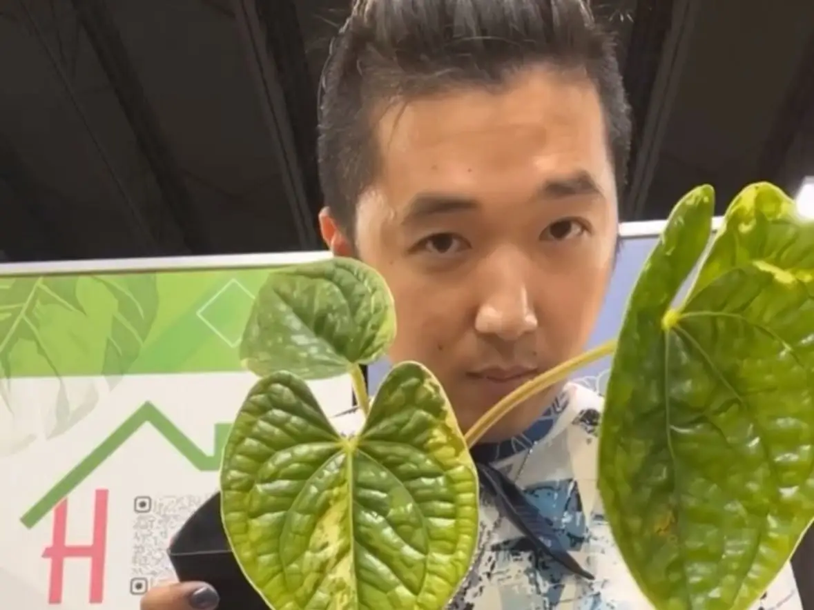 Man holding rare plant