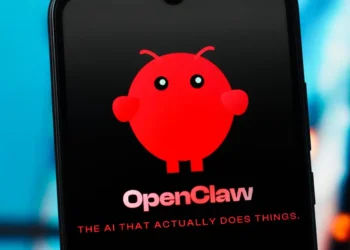 The creator of Clawdbot, the viral AI agent, says he got so obsessed with vibe coding it pulled him into a ‘rabbit hole’