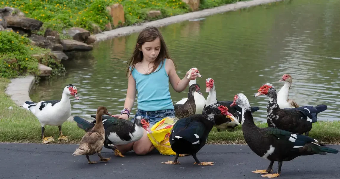 We swore by living in big cities but chose a suburb 17 years ago. Despite drawbacks, the decision has really paid off.