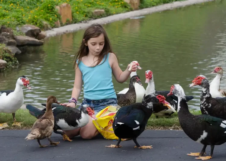 We swore by living in big cities but chose a suburb 17 years ago. Despite drawbacks, the decision has really paid off.