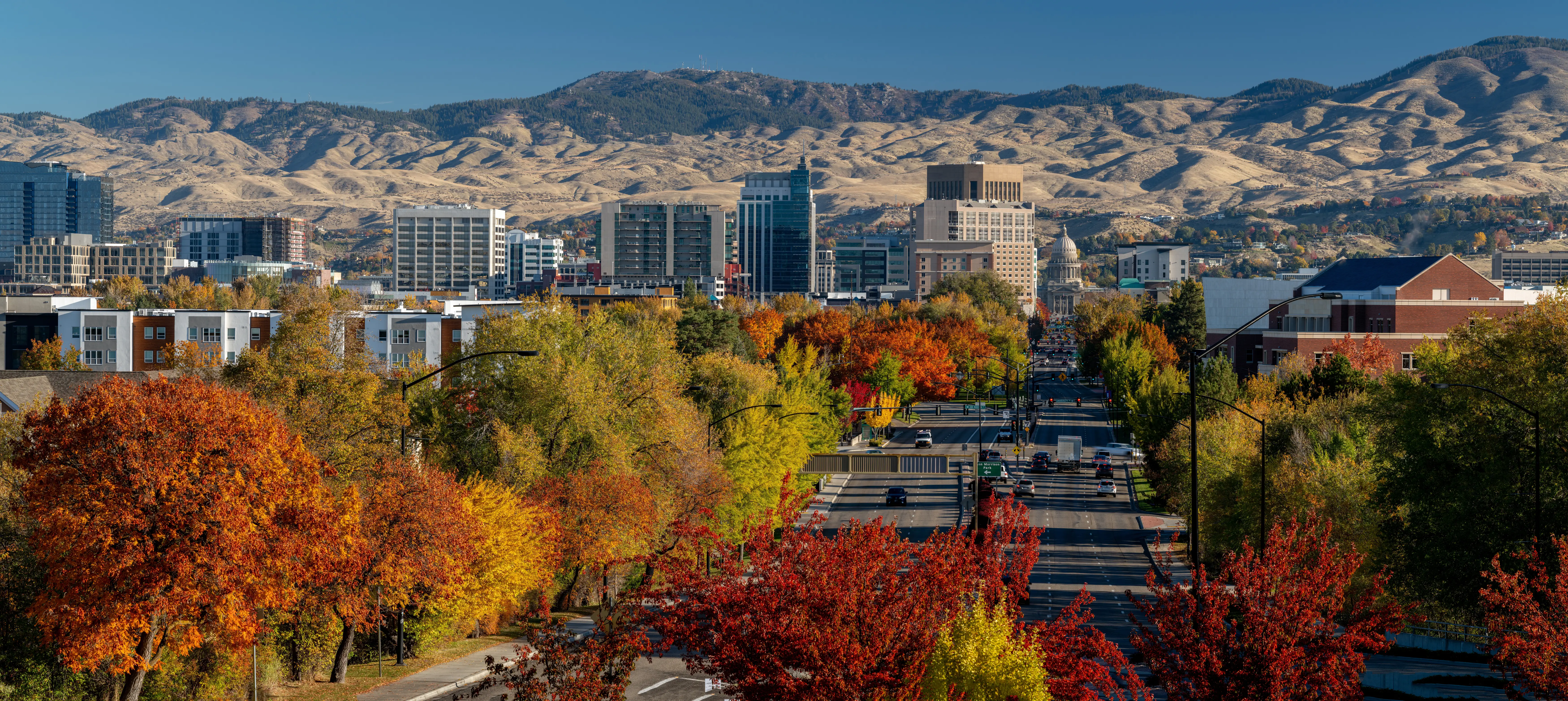 Autumn trees line a street leading to the capital of Idaho.