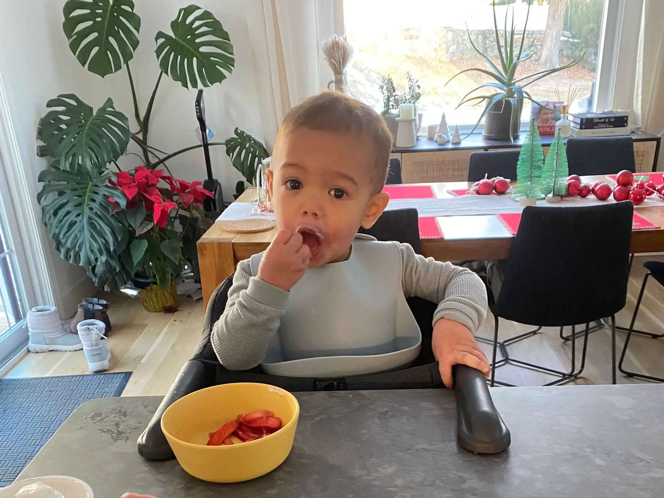 Boy eating berries