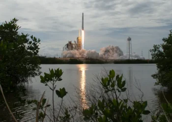 Ex-Sequoia investor Jeff Wang’s new hedge fund had Morgan Stanley’s Breakers conference abuzz