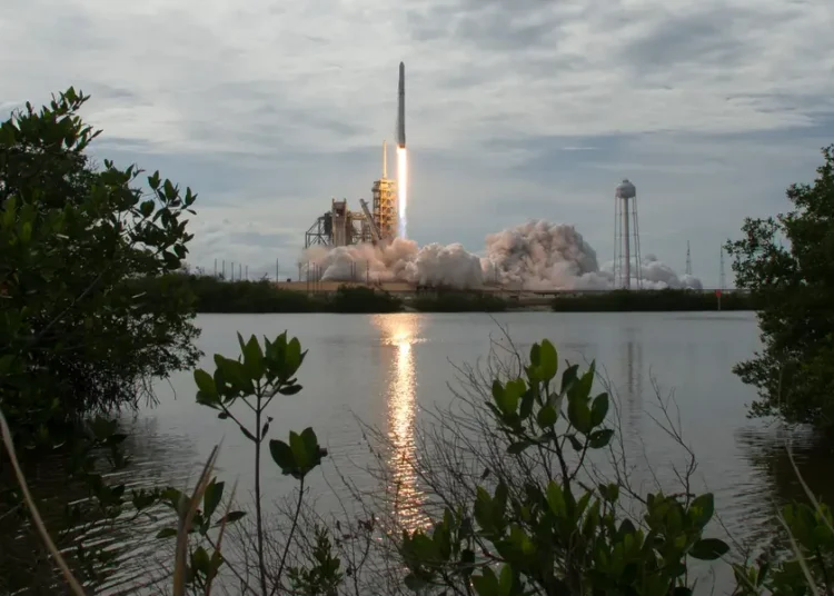 Ex-Sequoia investor Jeff Wang’s new hedge fund had Morgan Stanley’s Breakers conference abuzz