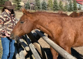 I was so burned out at work that I couldn’t relax on vacation. It was the wake-up call I needed.