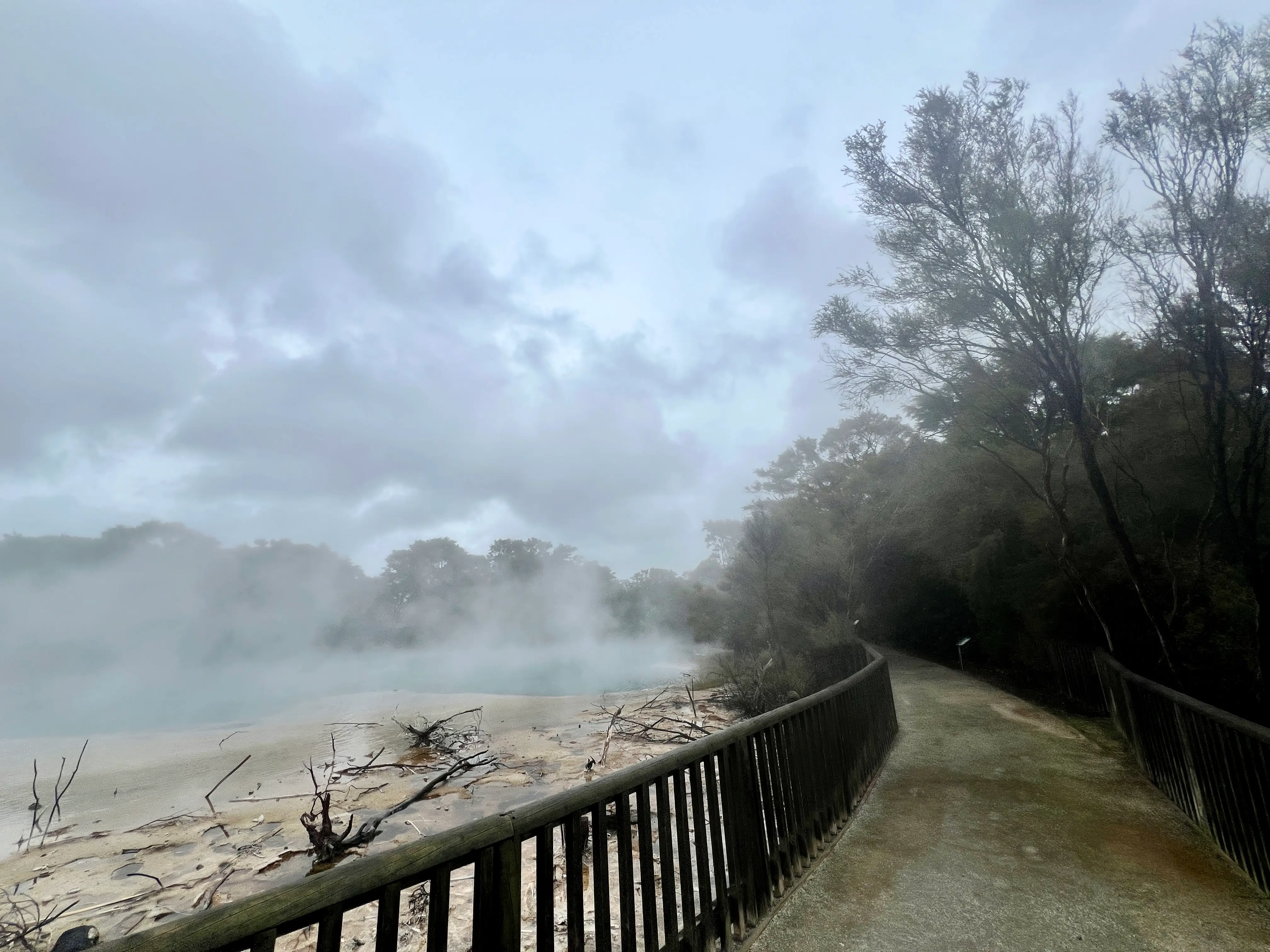 Empty land with fog, mud and trees