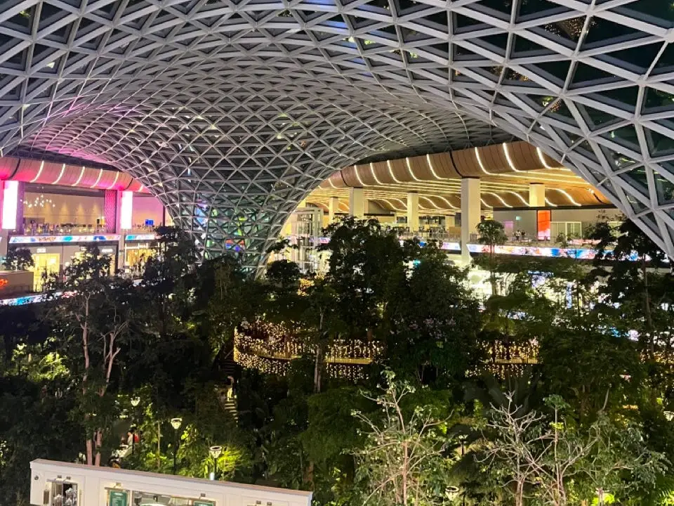Patterned ceiling and trees in airport