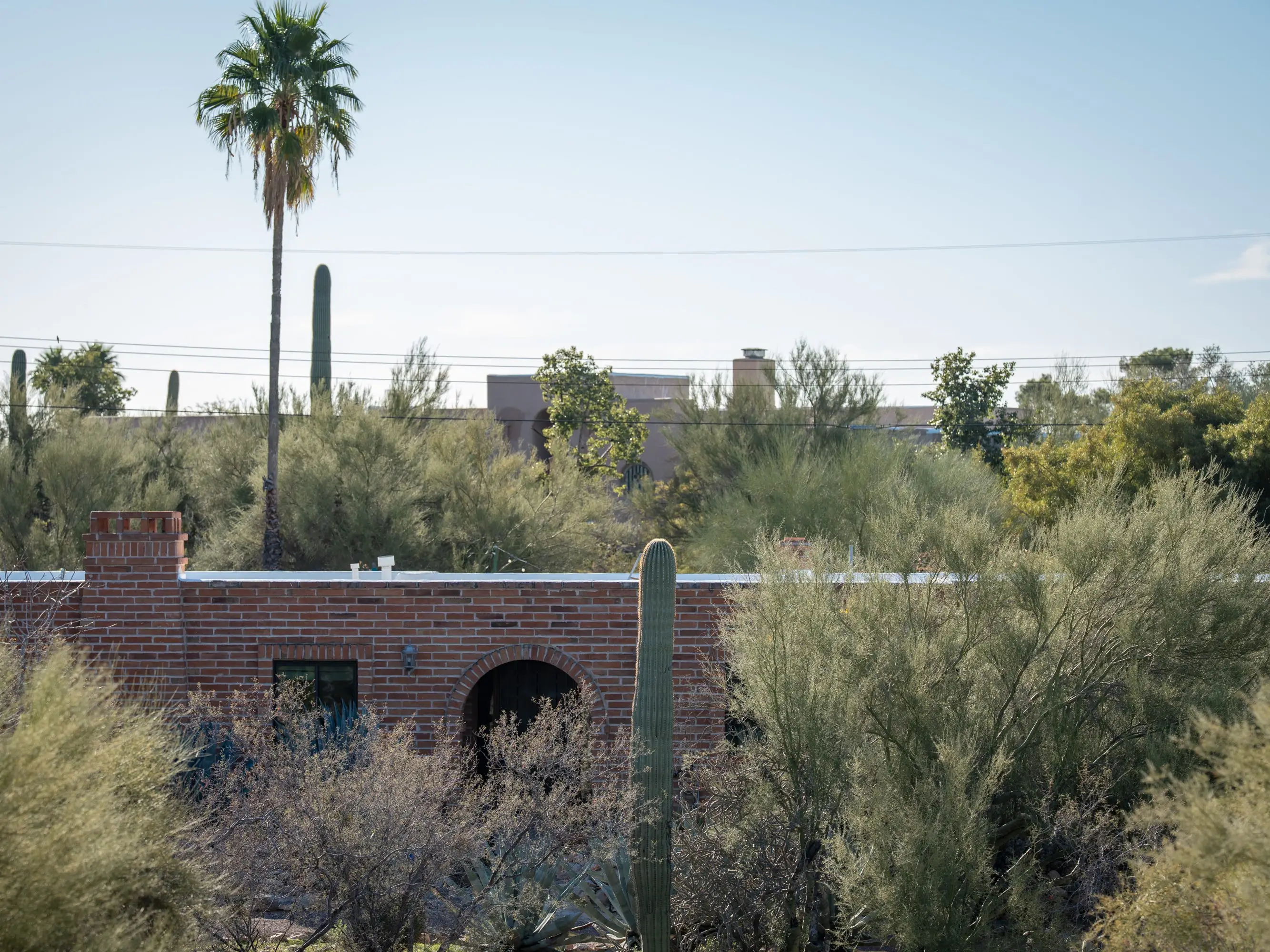Nancy Guthrie's, Savannah Guthrie's mother, home in Tucson, Arizona.