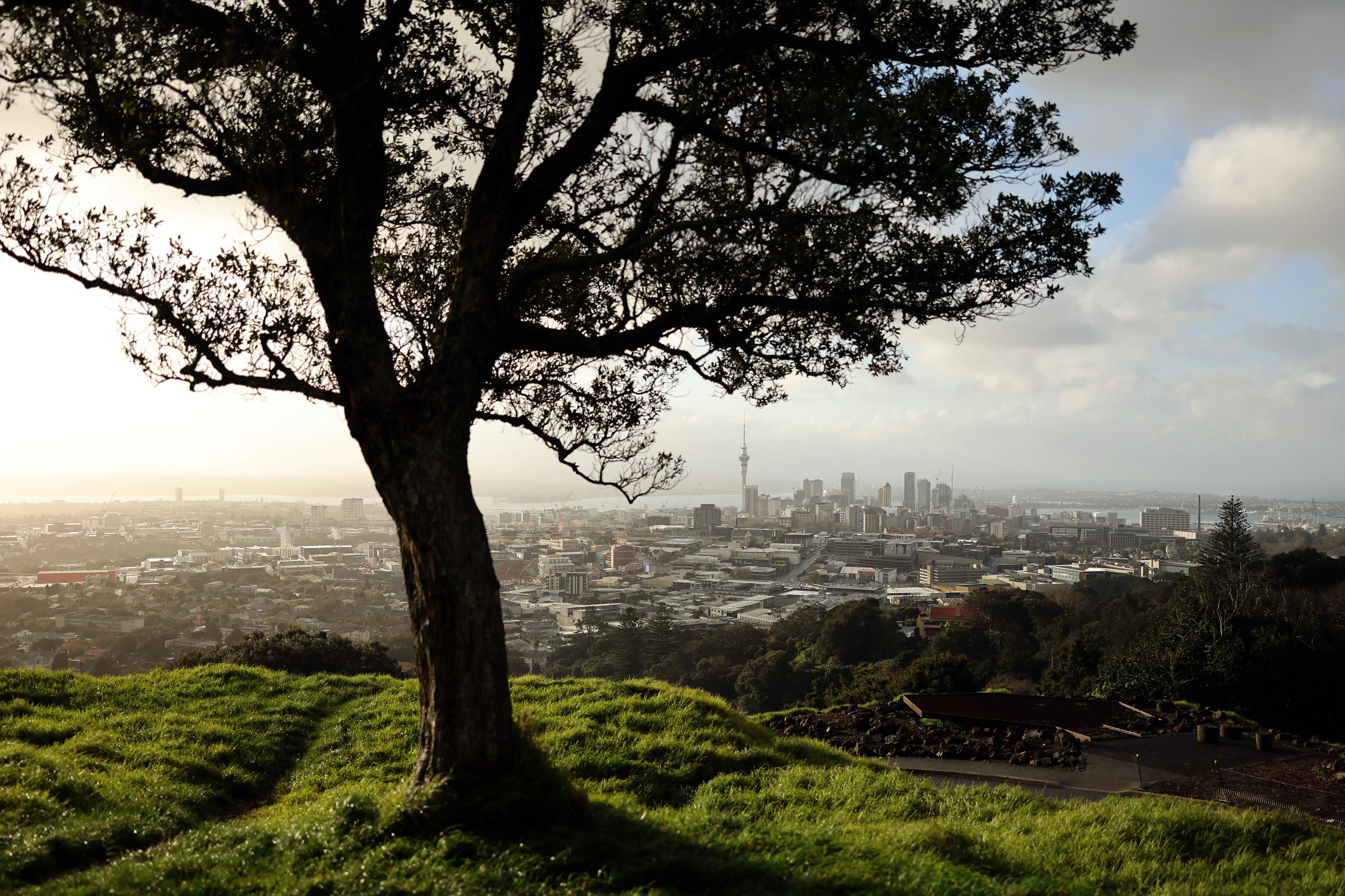 The skyline of Auckland. from a hilltop