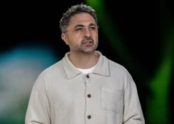 Microsoft AI CEO says vibe coding is making software easier to replace