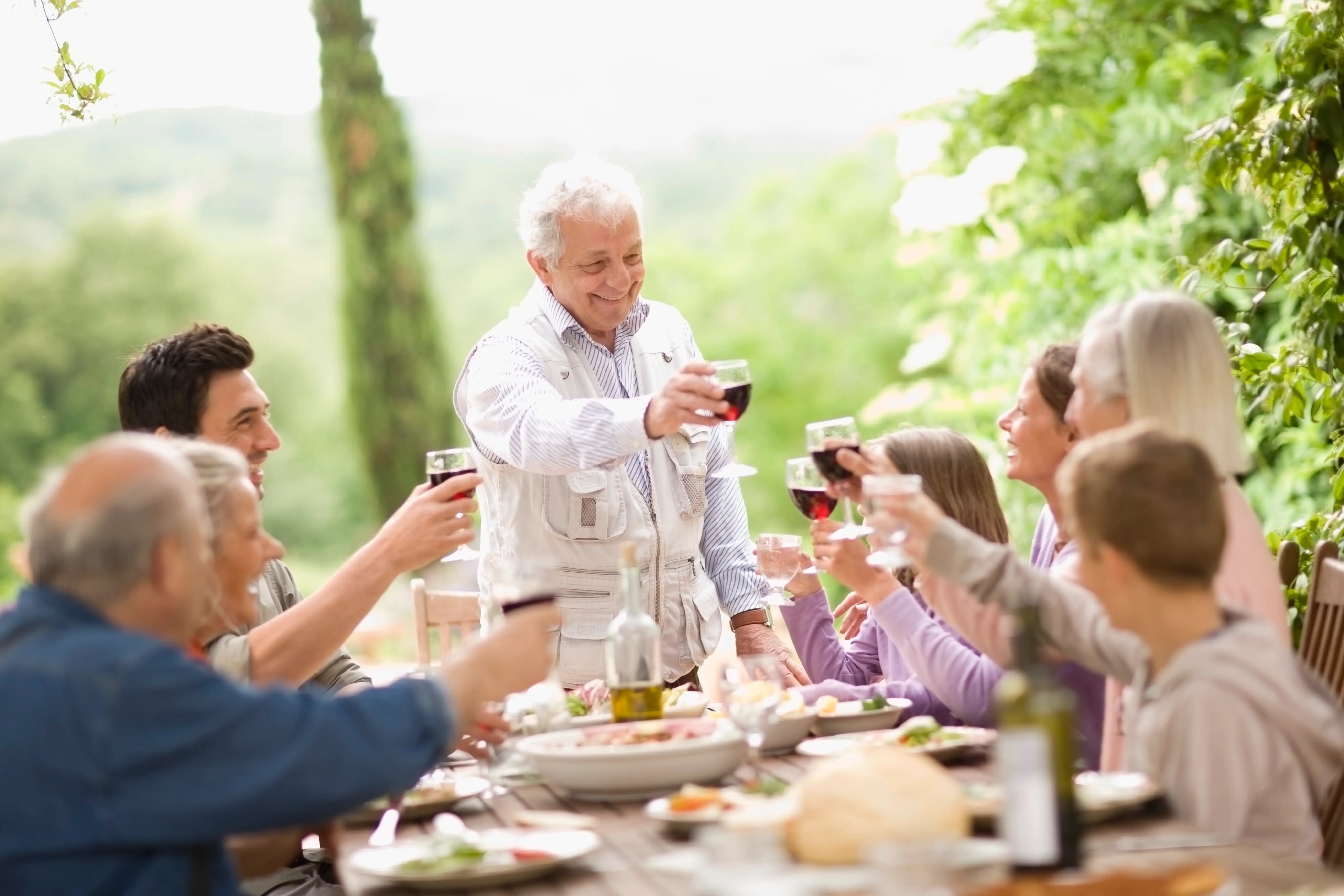 a group of family toasting with classes of wine at a dinner outside