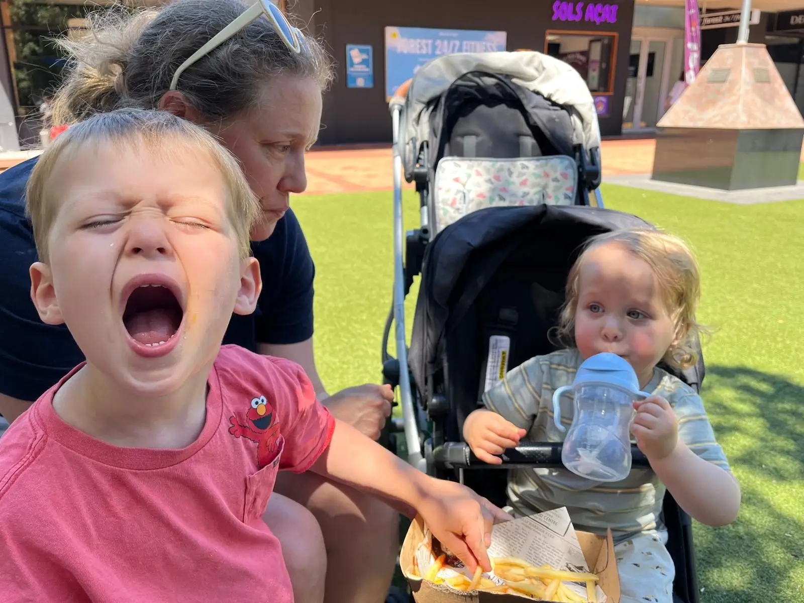 Mom with two toddlers