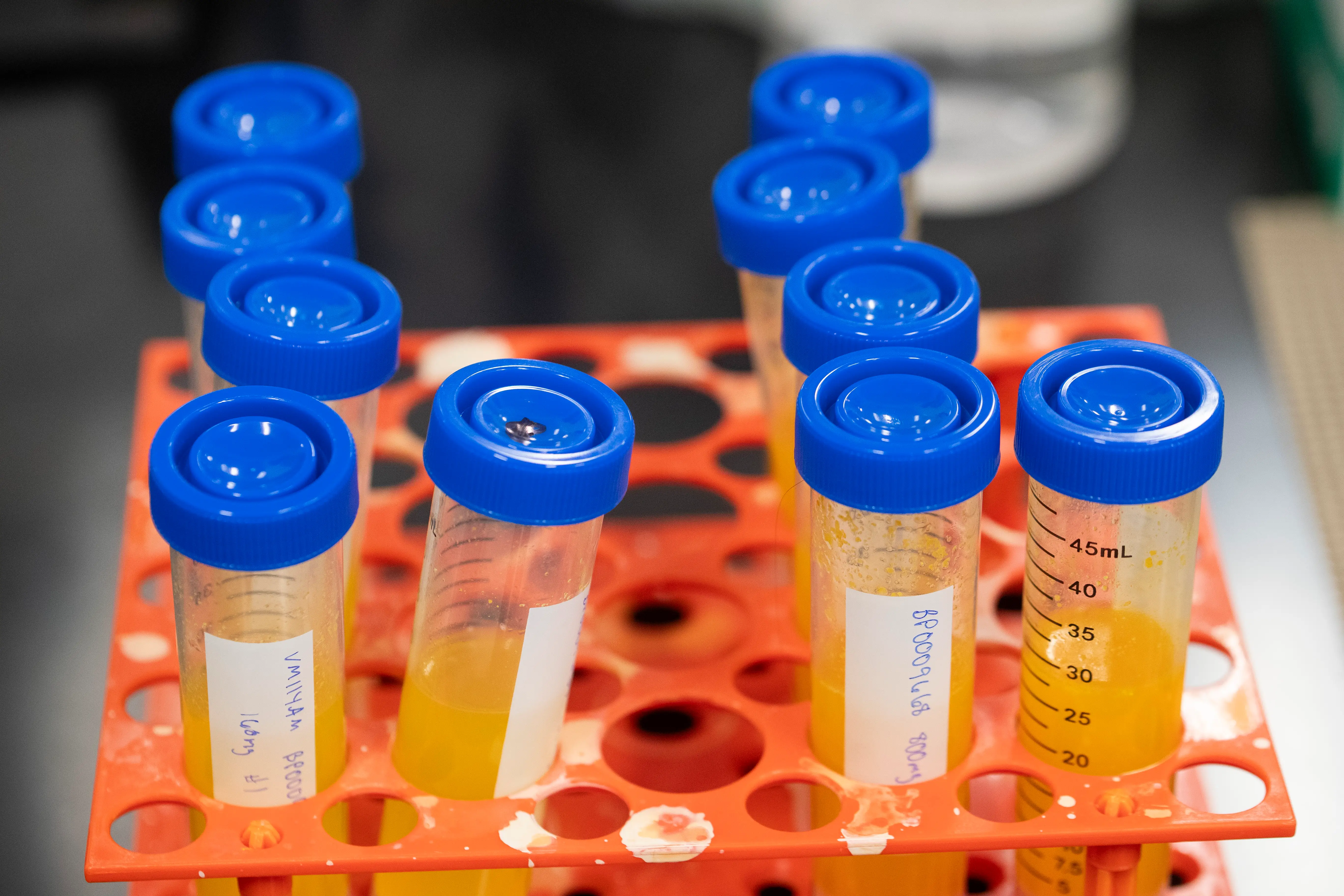 Samples are stored inside a tray at the labs of Thorne's manufacturing facility, Friday, September 5, 2025, in Summerville.