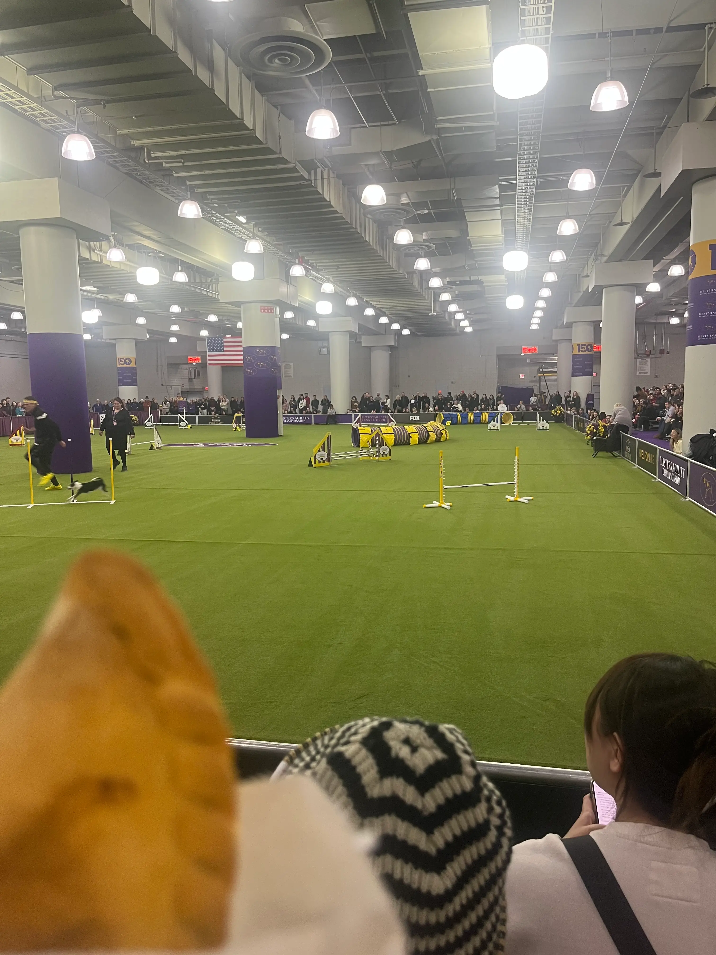 an empanada held up in front of a dog agility course