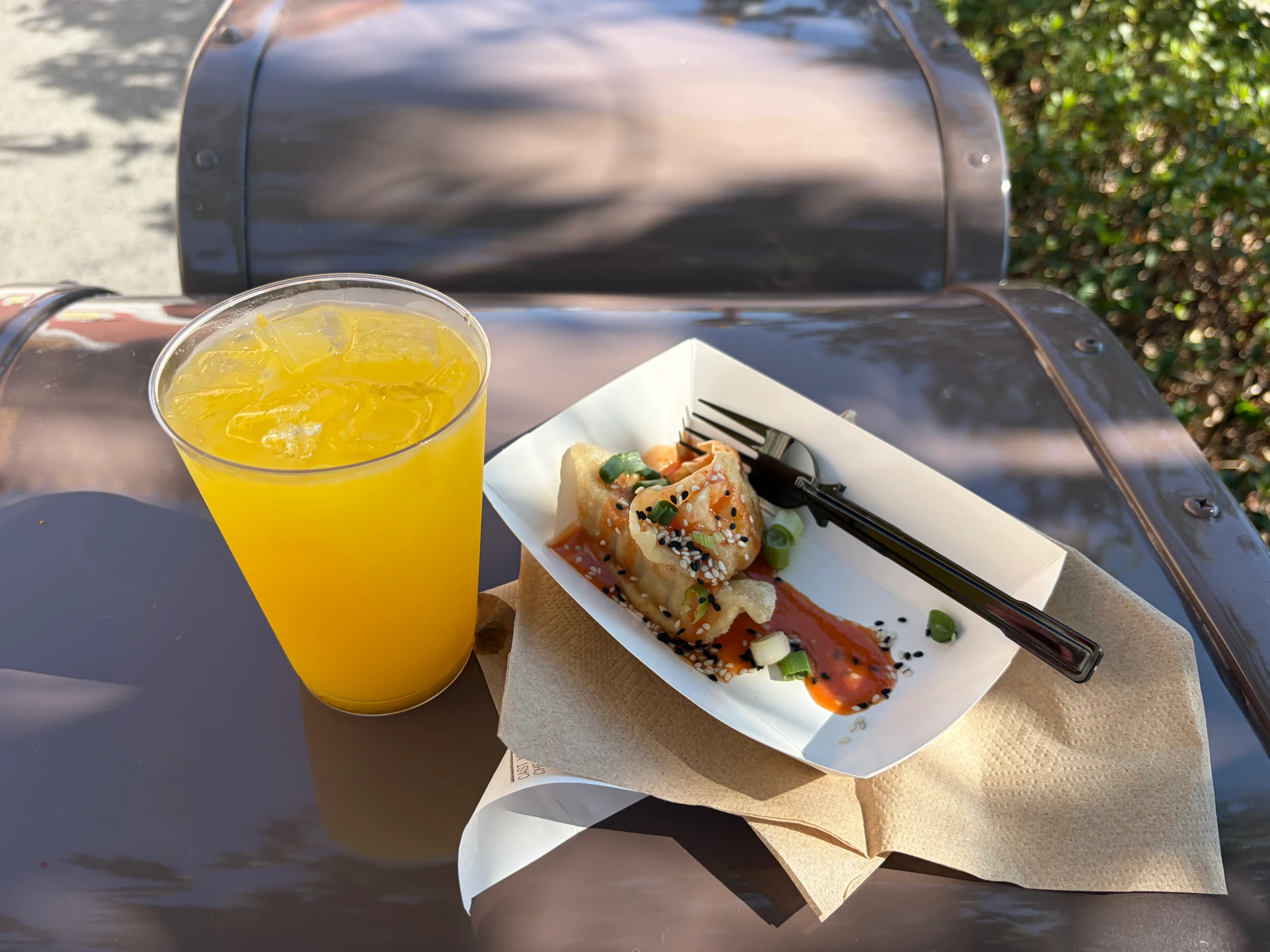 Drink and chicken and dumplings in Epcot