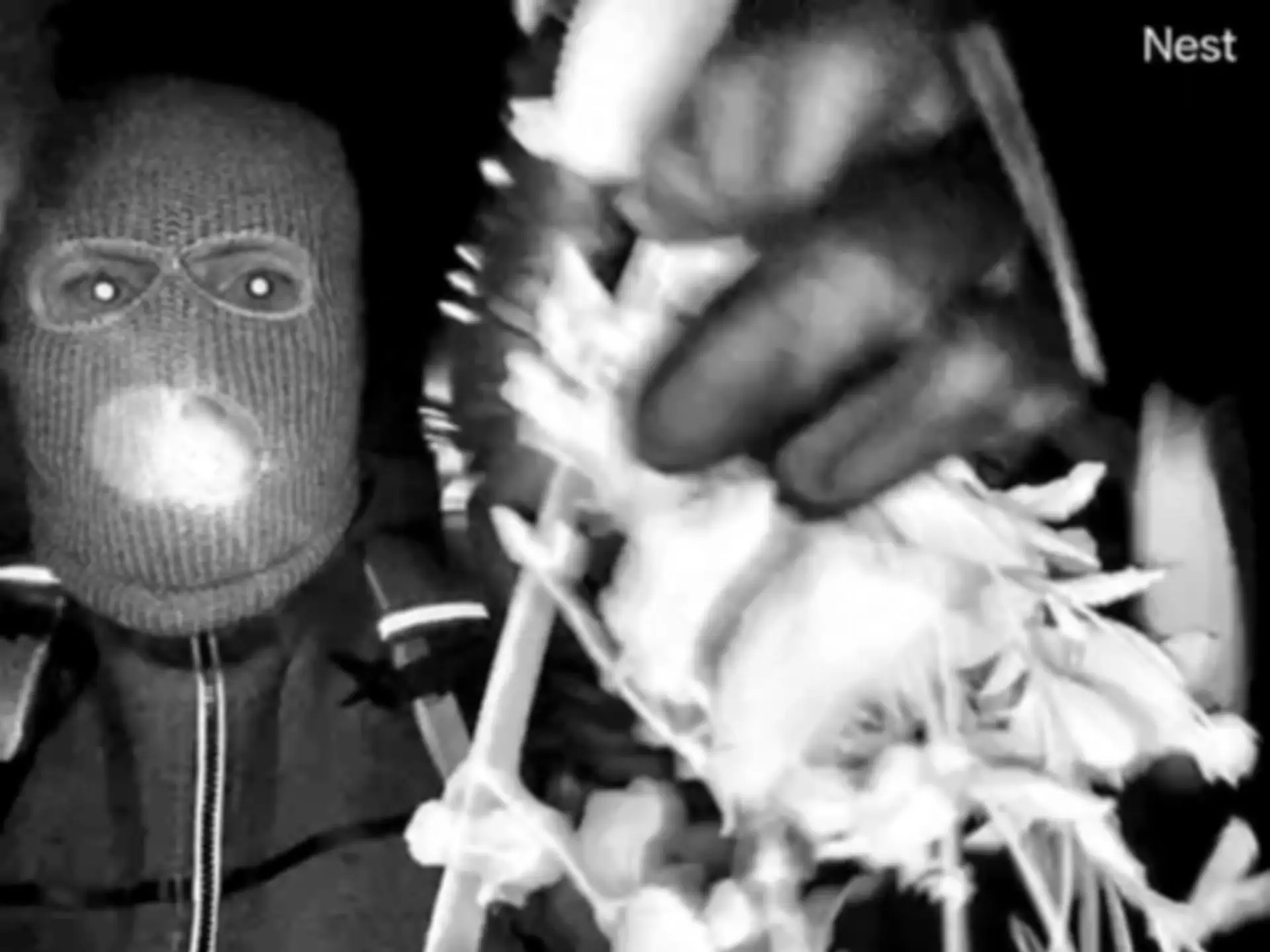 Photo of a masked person at Nancy Guthrie's door.