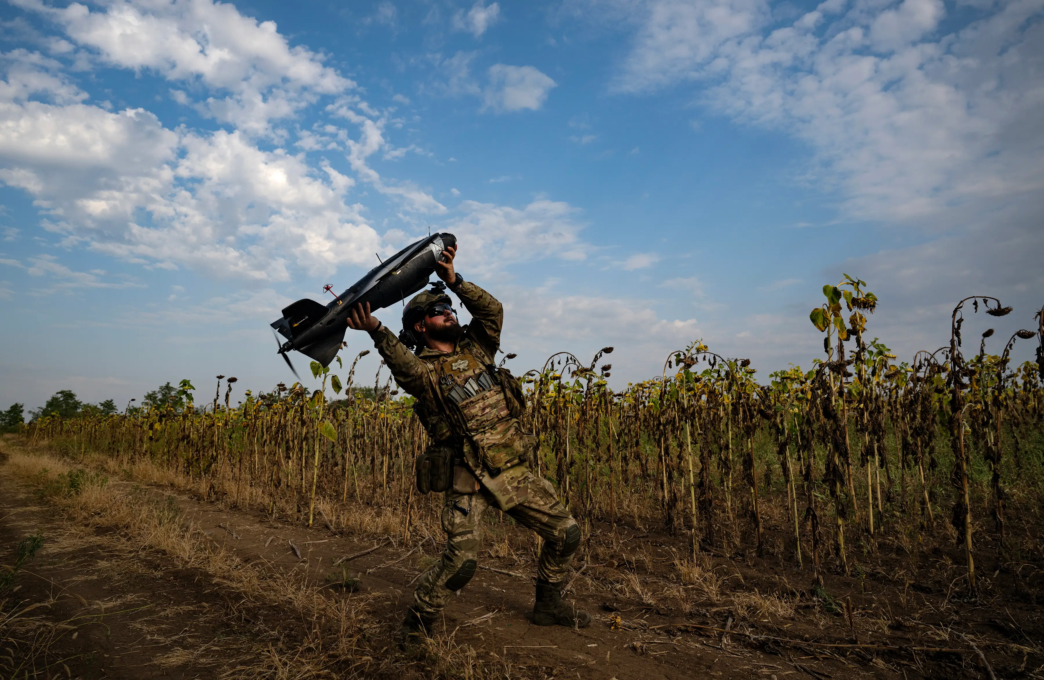 A man in camouflage gear and a helet launches a dark grey drone in the air under a blue sky and in a field of withered sunflowers