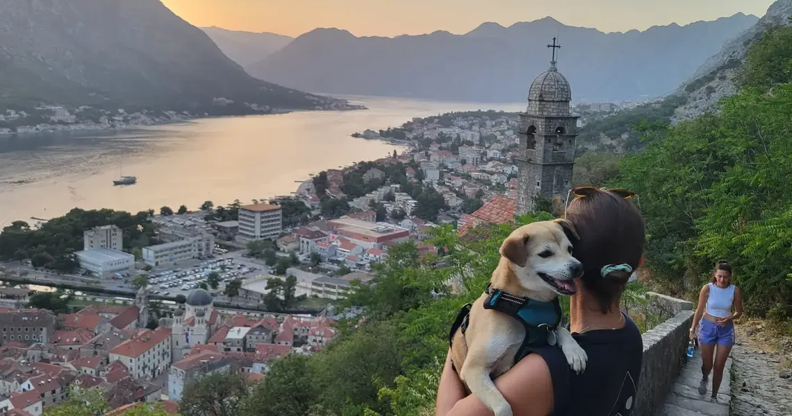 I left the US in 2015 and have since lived around the world. Reverse culture shock hit me harder than leaving ever did.