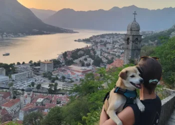 I left the US in 2015 and have since lived around the world. Reverse culture shock hit me harder than leaving ever did.