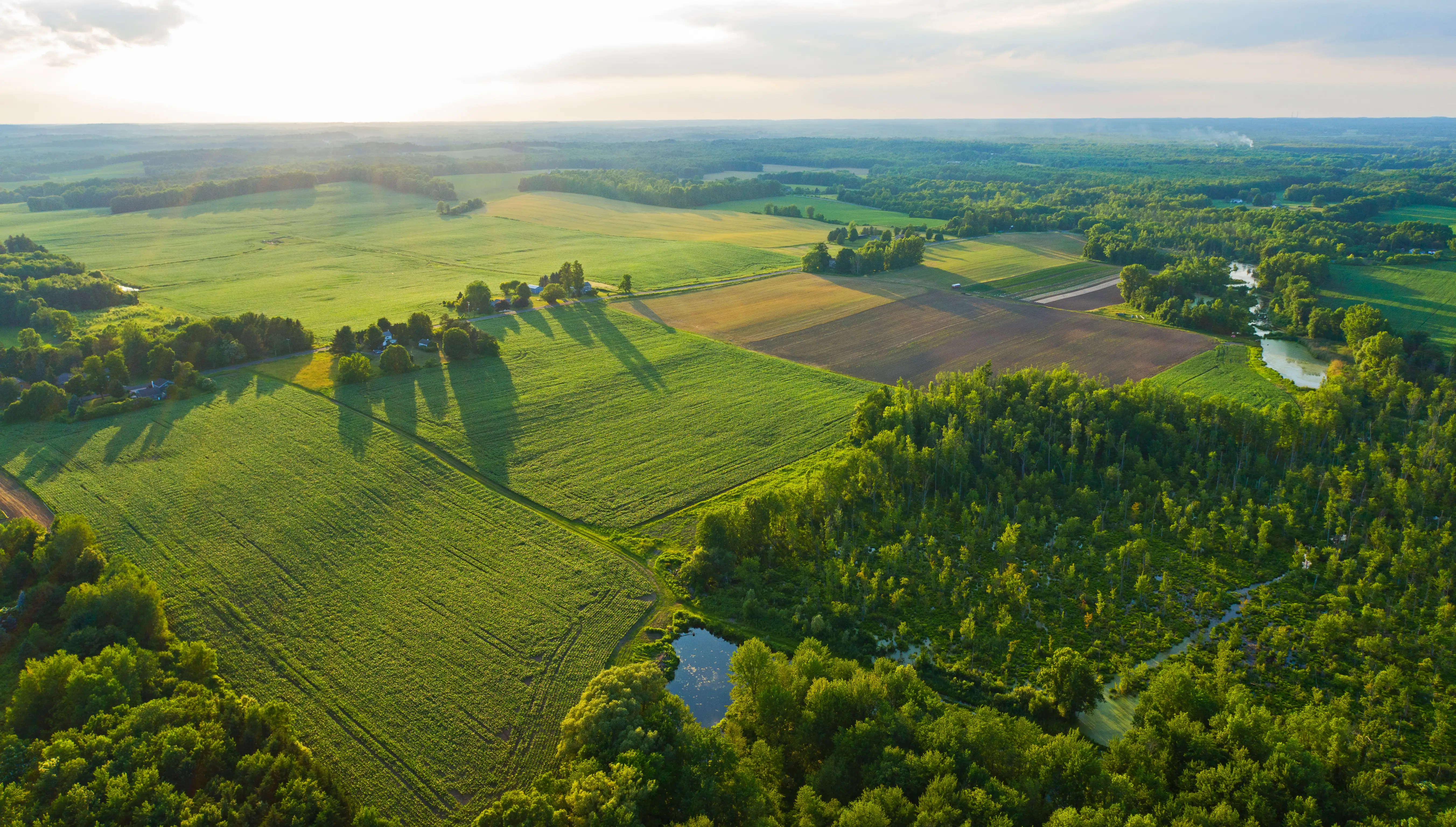 Farmlands in New York