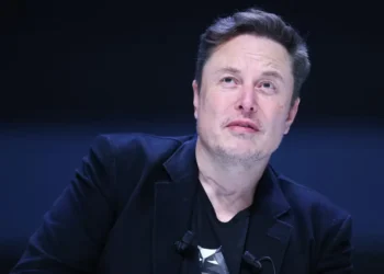 Elon Musk says Anthropic’s philosopher has no stake in the future because she doesn’t have kids. Here’s her response.