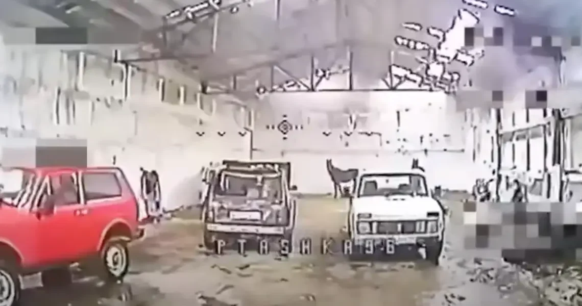 A Ukrainian drone pilot found a hidden Russian arsenal, only to discover it was filled with horses and old cars