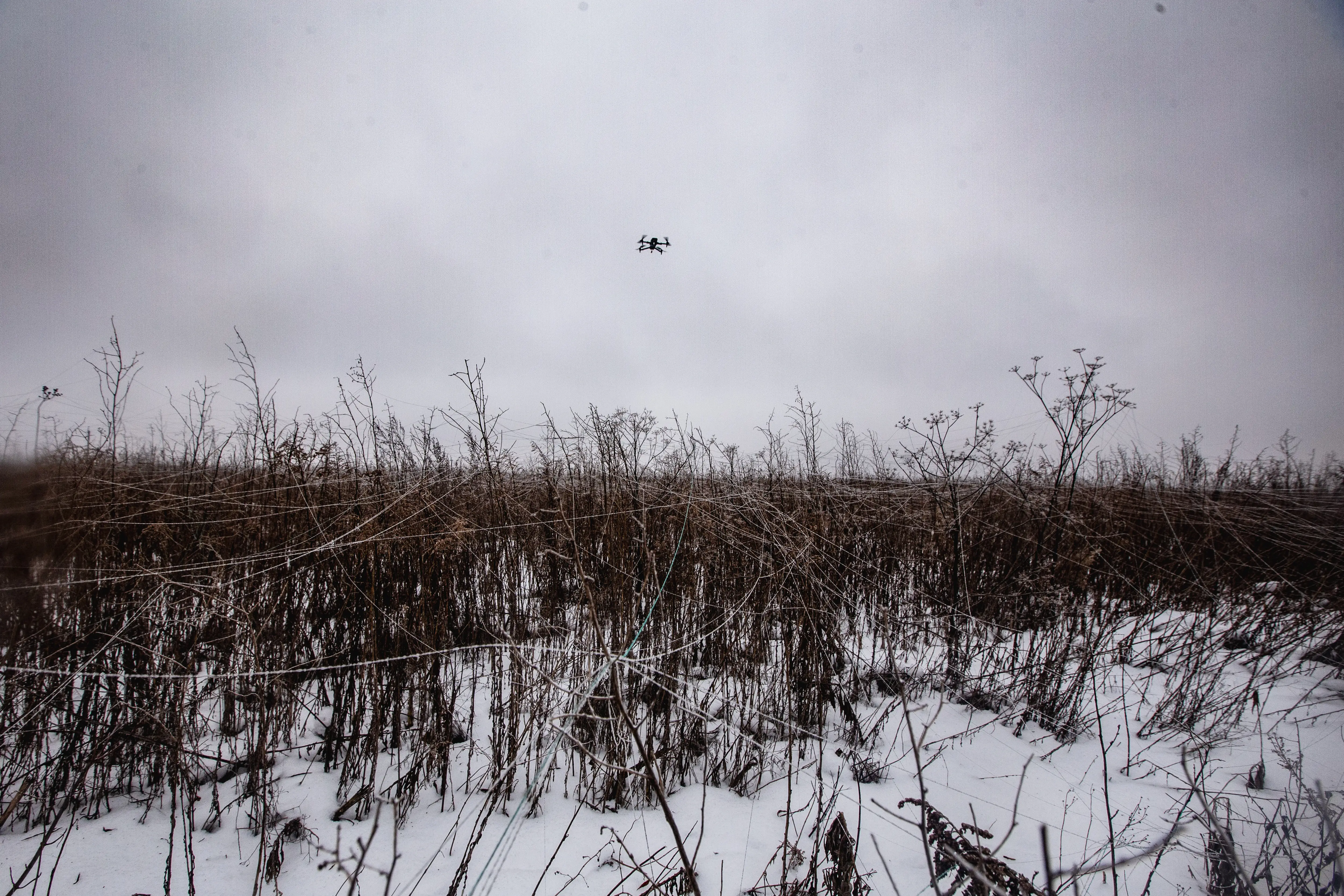 A snowy field with brown shubbery with thin white cables running across it and a small drone in a grey sky