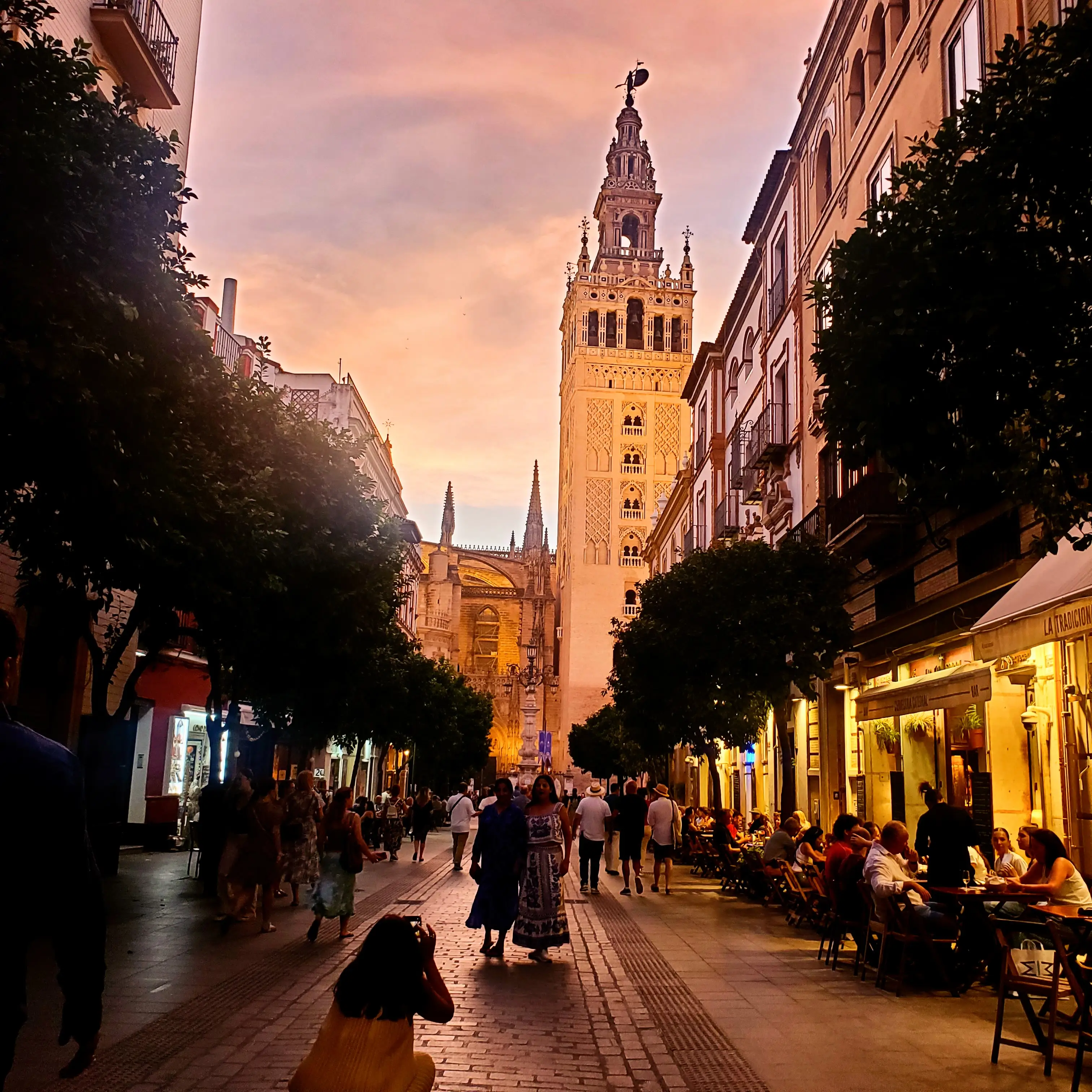 Alleyway lit up at night, lined with trees